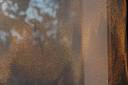 DSC_5561_Pluie-d-etoile.jpg