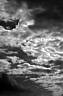 DSC_1871_Ciel_02_Noir-et-Blanc.jpg