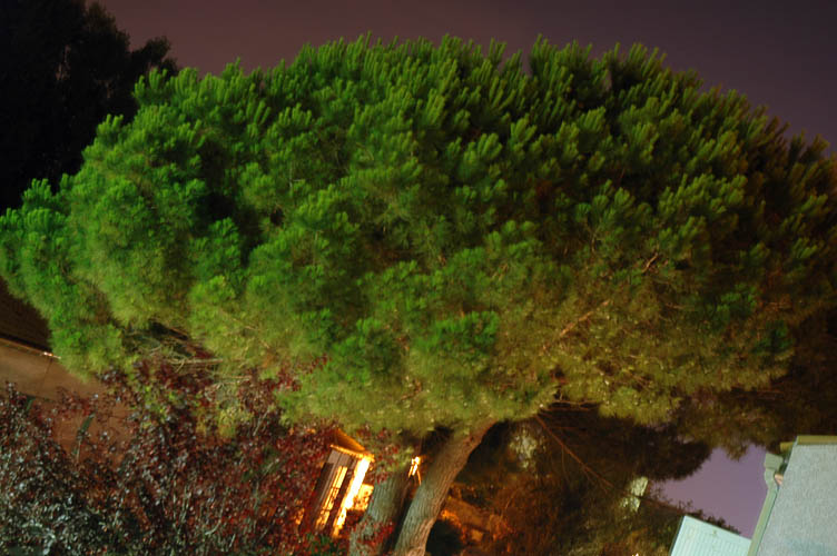 DSC_4144_Pin-Nuit_Grau-Agdes.jpg