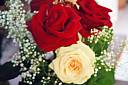 DSC_1087_3-Roses_Finale.jpg DSC_1087_3-Roses_Finale.jpg