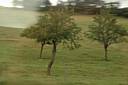 DSC_3173_Arbre-a-120-kmh.jpg