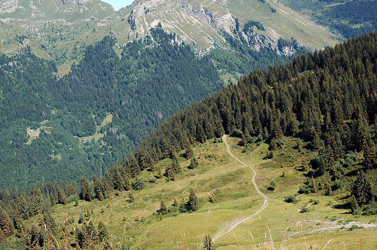 DSC_4696_Morzine_Paysage.jpg