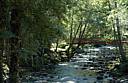 DSC_4685_Morzine-Foret-Riviere.jpg DSC_4685_Morzine-Foret-Riviere.jpg