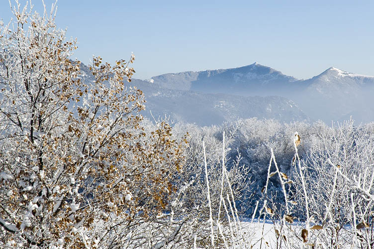 DSC_6132_Paysage-Neige.jpg