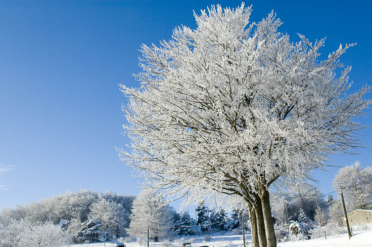 DSC_6135_Paydsage-Neige.jpg