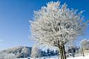 DSC_6135_Paydsage-Neige.jpg